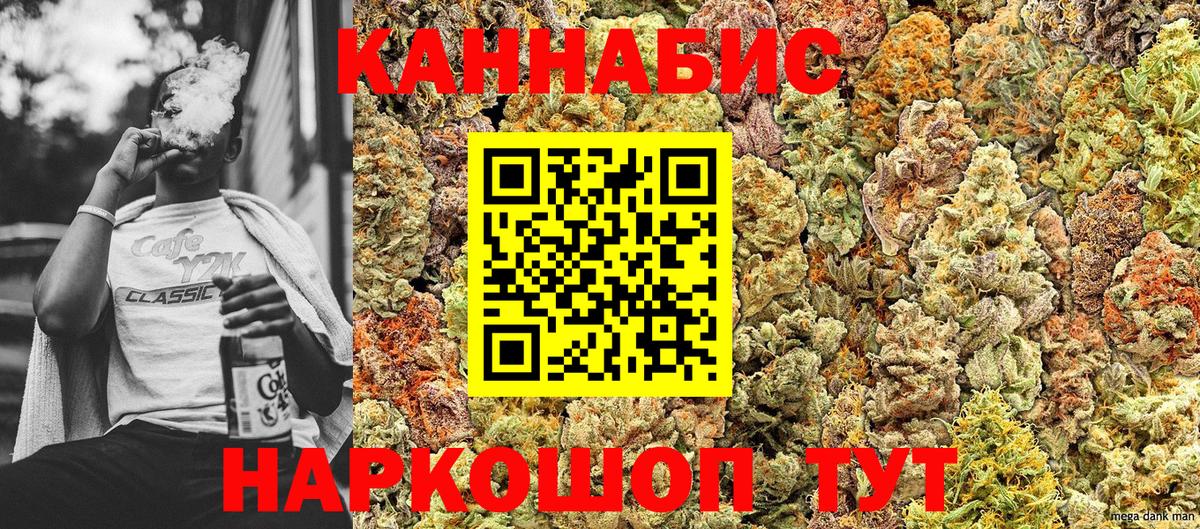 Каннабис семена  Вход с VPN  Бошки Шишки OG Kush  Изобильный  Марихуана конопля 